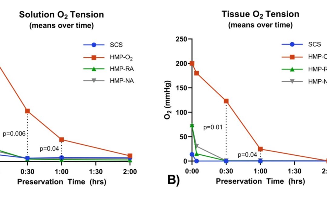 Novel Oxygenation Technique for Hypothermic Machine Perfusion of Liver Grafts: Validation in Porcine Donation after Cardiac Death (DCD) Liver Model