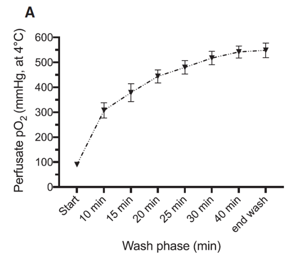 Brief Bubble and Intermittent Surface Oxygenation Is a Simple and Effective Alternative for Membrane Oxygenation During Hypothermic Machine Perfusion in Kidneys