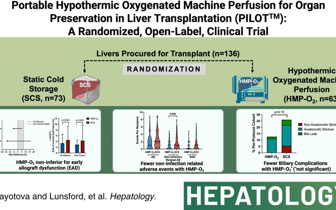 Portable hypothermic oxygenated machine perfusion for organ preservation in liver transplantation (PILOT™): A randomized, open-label, clinical trial*
