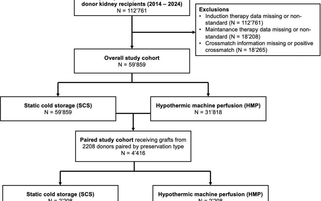 A Comprehensive Analysis on the Impact of Hypothermic Machine Perfusion and its Influence on Delayed Graft Function